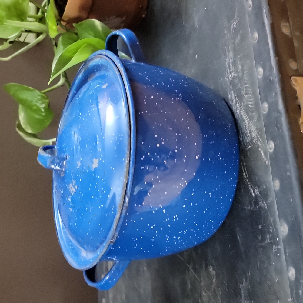 [Enamelware] blue pot